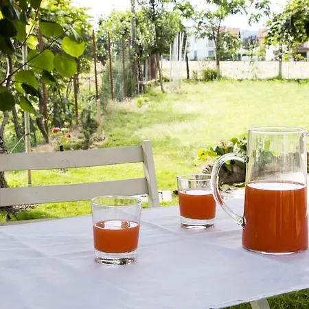 Gemma Alba (Piedmont)